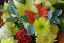 Special Occasions delivery - Order from your Interflora florist in Cape Town South Africa to send and deliver flowers.